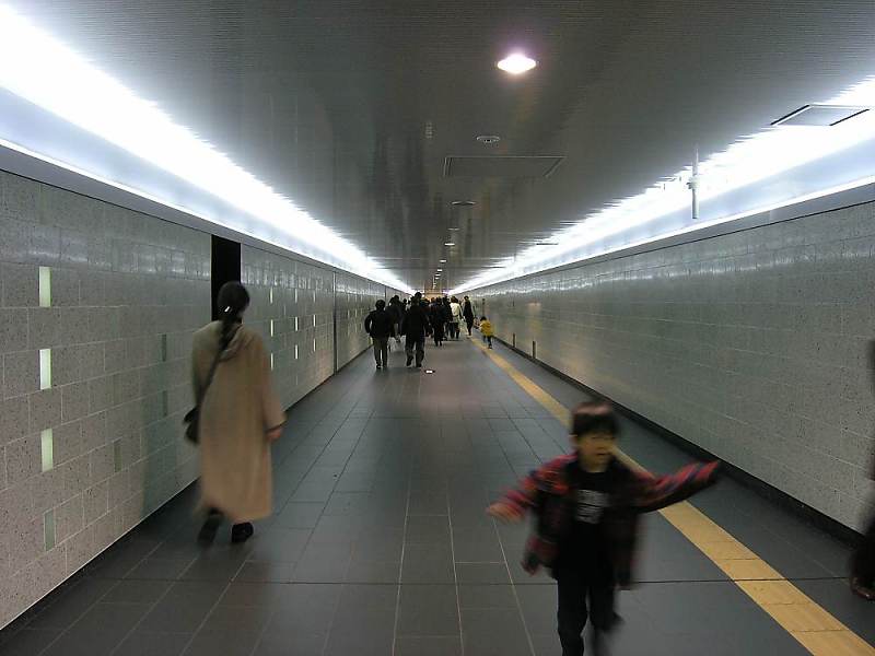 43.jpg