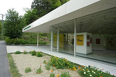 036.jpg